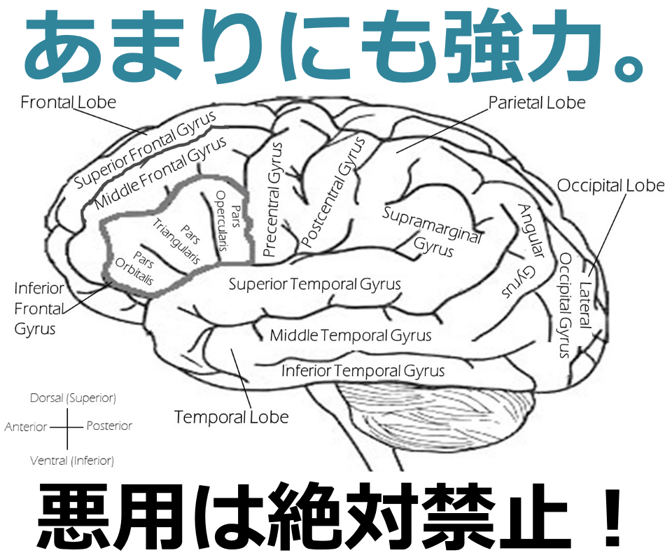 �~���I�l�A�i�r,�]�ȊwCEO,�r�W�l�X,�����Ɛl�Ԋ֌W�̊�]����,�]������,A10�_�o,���Ȍ[��,������,�����񂹂̖@��